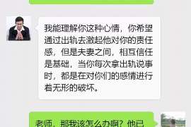 荣县婚姻调查：无效或者被撤销的婚姻的法律后果